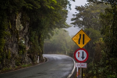 道路上的红白相间的停车标志